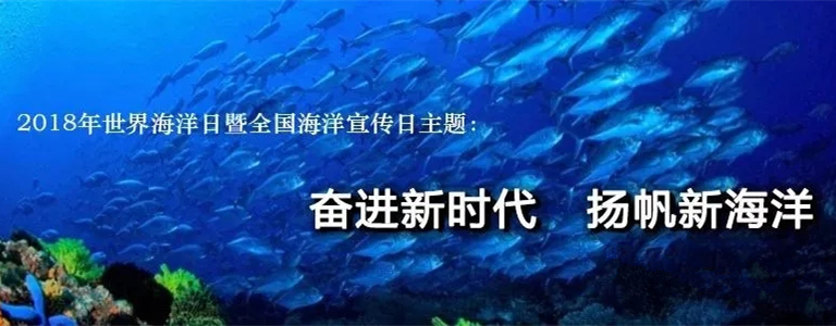 640.webp (1)_副本.jpg