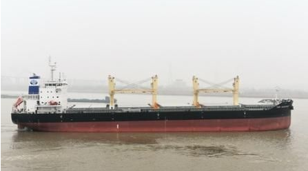 镇江船厂批量承建世界首型“海骆驼”全部交付